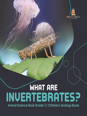 cover image of What Are Invertebrates?--Animal Science Book Grade 3--Children's Zoology Books